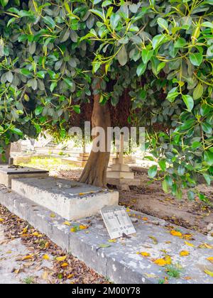 Floriana, Malta - May, 2021: Military Cemetery Pieta (Pietà) located just outside Valletta . The tranquil cemetery is well worth a visit to pay respec Stock Photo