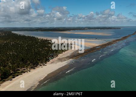 coconut trees, beach sand and blue sea on a sunny day at Praia dos Carneiros - drone view Stock Photo