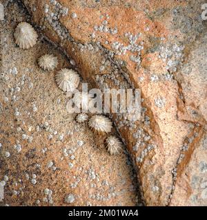 Abstract colour photograph of coastal rock the image is a colour abstract with a near impressionism style, containing rock patterns and textures. Stock Photo
