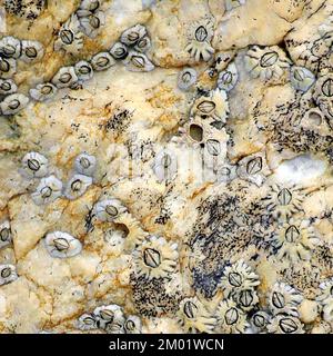 Abstract colour photograph of coastal rock the image is a colour abstract with a near impressionism style, containing rock patterns and textures. Stock Photo