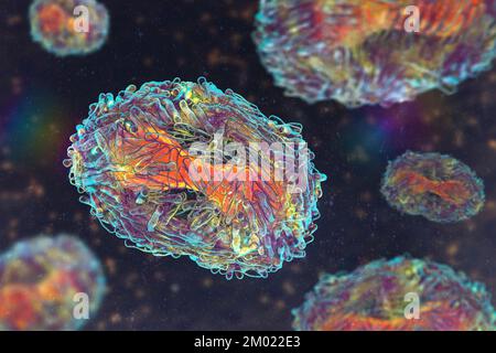 Monkeypox virus particles, illustration Stock Photo