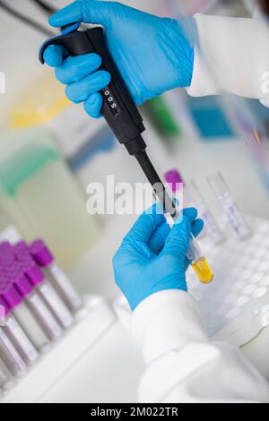 Using a micropipette in a lab Stock Photo