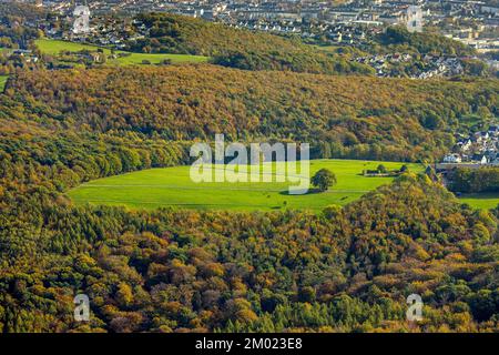 Luftbild, Baum im Feld, Herbstwald, Pferde auf der Weide, Vorhalle, Hagen, Ruhrgebiet, Nordrhein-Westfalen, Deutschland, Auf der Halle, Bunte Bäume, B Stock Photo