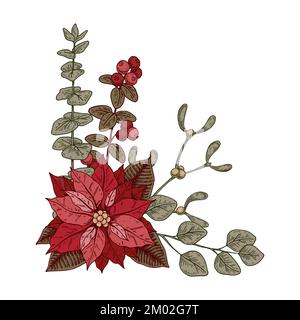 Christmas botany composition with poinsettia flower and mistletoe. Vector illustration in sketch style isolated on white background Stock Vector