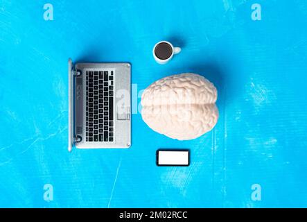 Anatomical copy of a human brain working on a miniature laptop isolated on blue background. Creative office job concept. Stock Photo