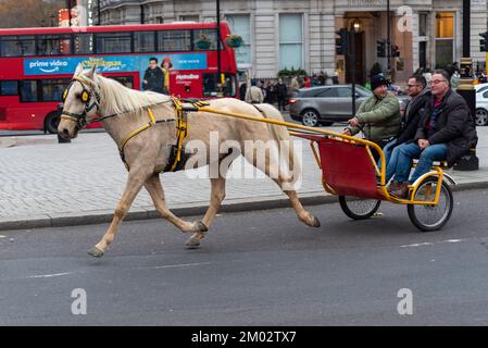 Westminster, London, UK. 3rd Dec, 2022. A number of pony and traps have ridden around the City of Westminster, passing through Trafalgar Square traffic. Event titled the London Christmas Horse Drive, of Gypsies, Travellers and visitors from all over the UK. The rides are quoted as being for charity. Stock Photo