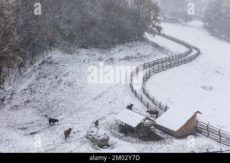Wooden fence covered with a thin layer of the first snow. Rural ...