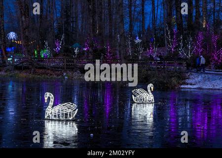 Holiday Light display, Lafarge Lake, Town Centre Park, Coquitlam, British Columbia, Canada. Stock Photo