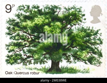 Photo of a British postage stamp Oak Tree Quercus robur Trees series 1973 Stock Photo