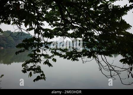 Hanging Trees in front of Hoan Kiem Lake Hanoi Vietnam Stock Photo