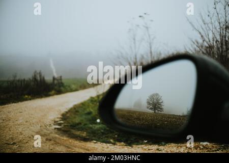 Lonely tree in back mirror of the car in fog. Autumn photo Stock Photo