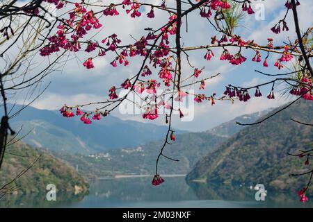 Sunny view of the Wushe Reservoir at Nantou, Taiwan Stock Photo