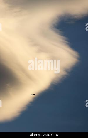 Airplane in flight silhouetted against giant white fluffy cloud in blue sky. Stock Photo