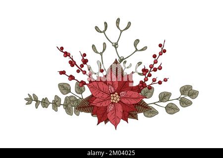 Christmas botany composition with poinsettia flower and mistletoe. Vector illustration in sketch style isolated on white background Stock Vector