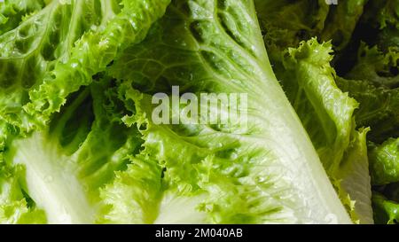 Green leaf lettuce close-up on white cutting board. Crisp fresh organic leaves of Romaine lettuce  close-up Stock Photo