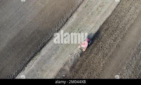 Agriculture - aerial view of harvest fields with tractor Stock Photo