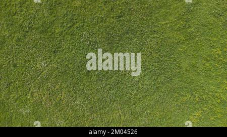 Green grass texture background Top view of bright grass garde. Stock Photo