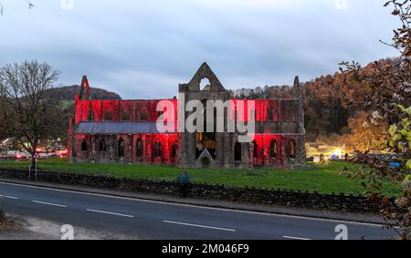 Tintern Abbey and the torch light carol service. Wales. Stock Photo