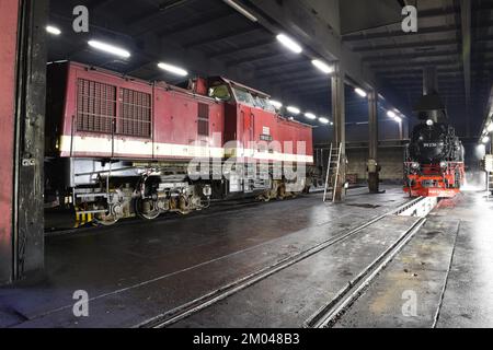 Diesel locomotive and steam locomotive of the Harz narrow gauge railway in the engine shed, Wernigerode, Saxony-Anhalt, Germany, Europe Stock Photo
