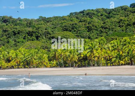 Playa Carillo, Peninsula de Nicoya, Guanacaste, Costa Rica, Central America Stock Photo