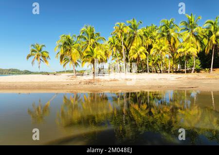 Playa Carillo, Peninsula de Nicoya, Guanacaste, Costa Rica, Central America Stock Photo