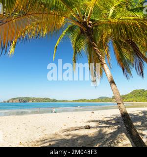 Playa Carillo, Peninsula de Nicoya, Guanacaste, Costa Rica, Central America Stock Photo