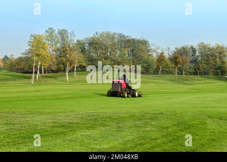 Employee driving lawn mower and cutting green grass during work on golf course on autumn day Stock Photo