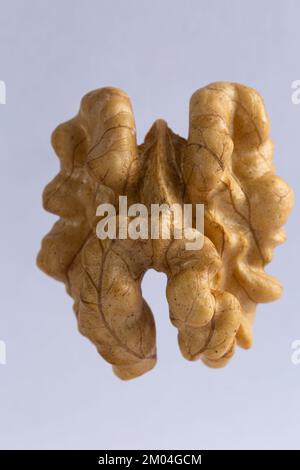 dry peeled walnut on white background Stock Photo