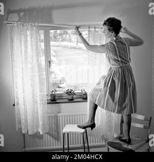 1960s home decorating. A woman at home putting up the curtains in the room window. All by herself she balances on a chair and a stool to manage it. Sweden 1966 Stock Photo