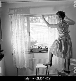 1960s home decorating. A woman at home putting up the curtains in the room window. All by herself she balances on a chair and a stool to manage it. Sweden 1966 Stock Photo