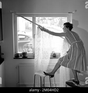 1960s home decorating. A woman at home putting up the curtains in the room window. All by herself she balances on a chair and a stool to manage it. Sweden 1966 Stock Photo