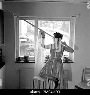 1960s home decorating. A woman at home putting up the curtains in the room window. All by herself she balances on a chair and a stool to manage it. Sweden 1966 Stock Photo