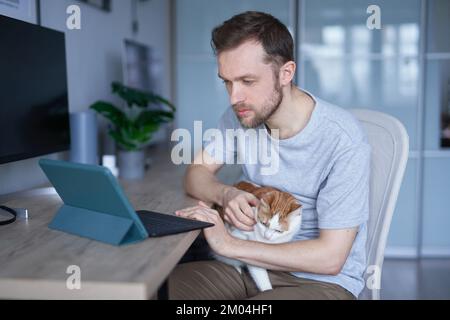 Attractive cheerful caucasian male freelancer, entrepreneur or working from home concept. Successful bearded man using tablet computer for business sitting at home office with tabby cat Stock Photo