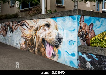 Street Art at Veterinary Clinic, Launceston, Tasmania, Australia Stock Photo