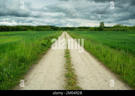 Long dirt road through green fields and cloudy sky Stock Photo