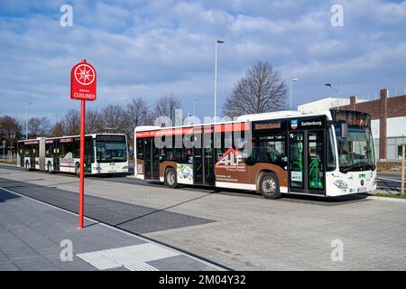 KVG Mercedes-Benz Citaro busses at Cuxhaven central bus station Stock Photo