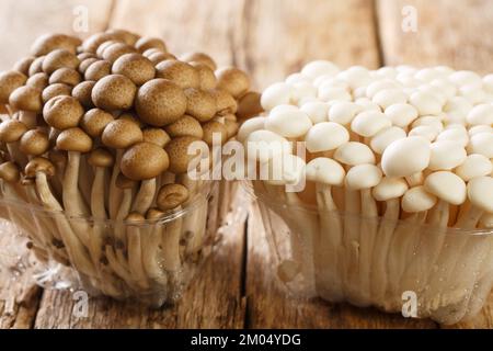 Fresh uncooked buna brown and bunapi white shimeji edible mushrooms from Asia in plastic container closeup on wooden table. Horizontal Stock Photo