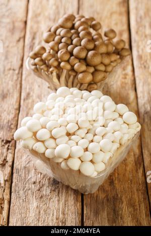 White and brown shimeji edible mushrooms native to East Asia, buna-shimeji is widely cultivated and rich in umami tasting compounds Stock Photo