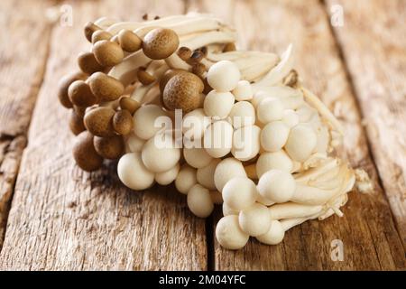 bunch of white and brown edible beech mushrooms or Shimeji or buna and bunapi closeup on wooden table. Horizontal Stock Photo