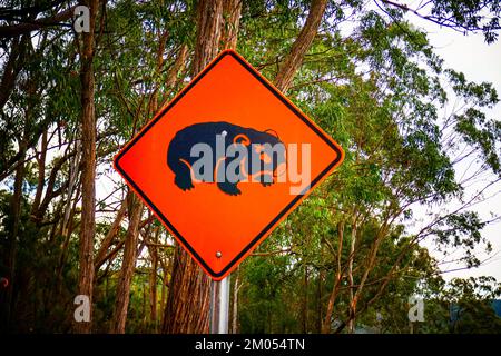 A Beware of Koalas sign in Australia Stock Photo