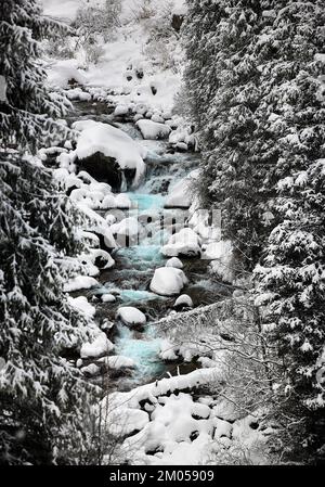 Beautiful scenery of the turquoise mountain water river and bridge near spruce trees forest in Tien Shan, Almaty Kazakhstan. Stock Photo