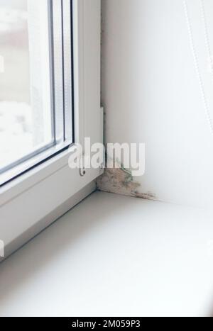 Slope near the window fungus moisture. Selective focus. Home. Stock Photo