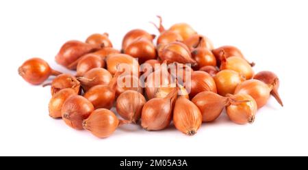 Brown mini onions isolated on a white background. Raw onion bulbs, for cultivation. French onion. Stock Photo