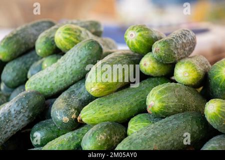 Premium Photo  Fresh and healthy organic cucumbers served on the table  close up