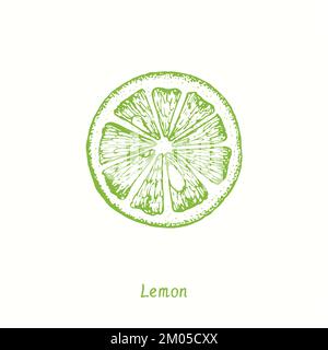 Lemon cut slice fruit. Ink doodle drawing in woodcut style Stock Photo