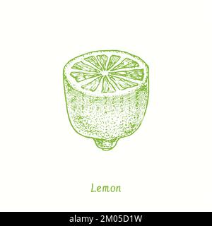 Lemon cut half fruit. Ink doodle drawing in woodcut style Stock Photo