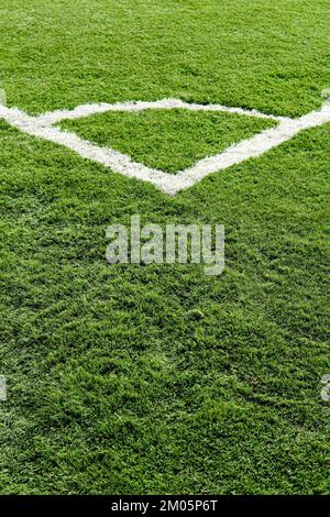 White corner line painted on the soccer field. Football stadium Stock Photo