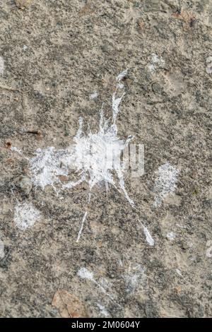paint spilled on road Stock Photo - Alamy