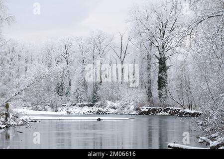 River flowing past trees with fresh snow fall on branches and riverbank in winter Stock Photo