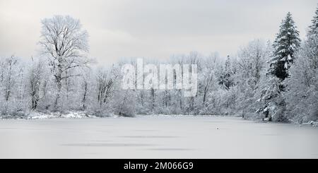 Ice covered lake surrounded by trees with snow on branches in winter Stock Photo